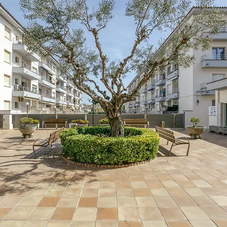 Apartment Omega Estartit